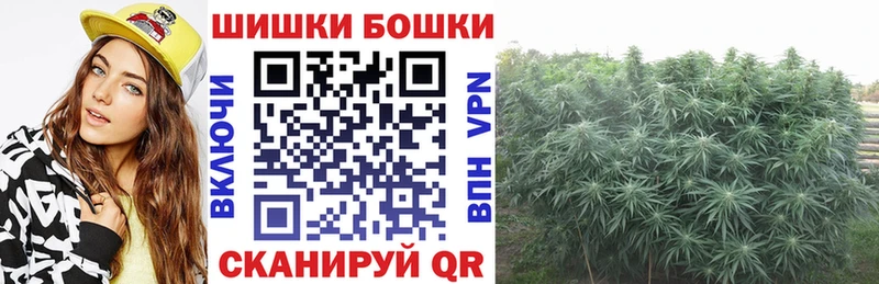 Конопля VHQ  где купить   KRAKEN   Светогорск 